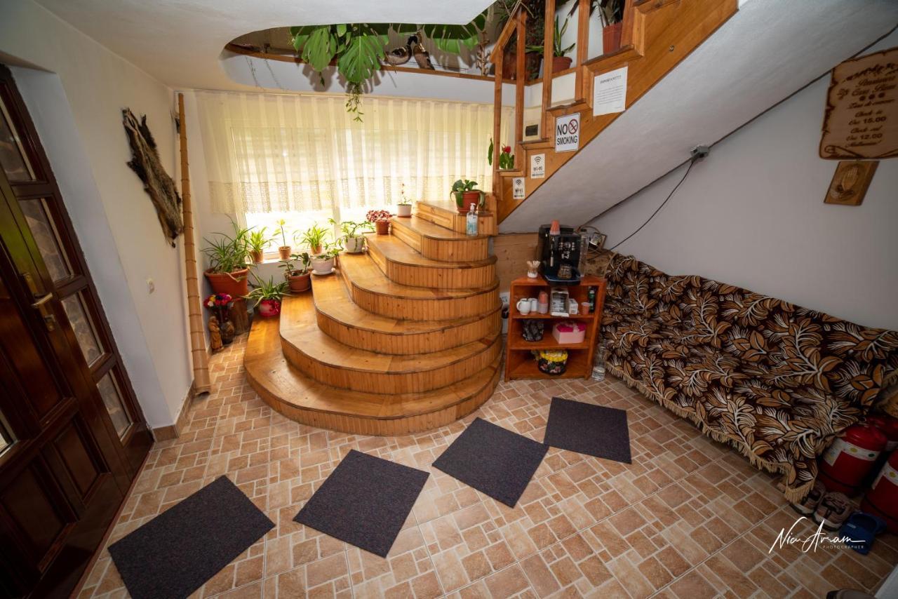 Casa Binu Arieşeni Exterior foto